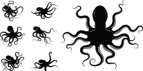Black and white illustrations of octopus and other creatures © MD
