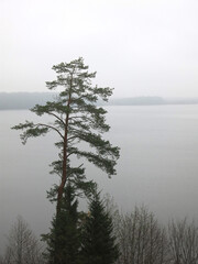 foggy autumn lake Sapsho in a National Park in the Smolensk Region, Russia                               