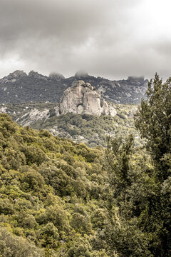 View of lush green trees contrasting against the rocky mountain face under a cloudy sky, Parco dei Sette Fratelli, Sardinia, Italy.