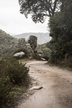 View of a winding dirt path cuts through the landscape, shadowed by trees and leading towards the colossal, weathered rock formations, Parco dei Sette Fratelli, Sardinia, Italy.