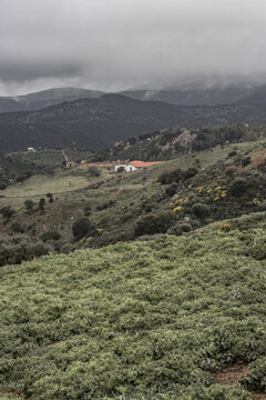 View of rugged hills and green vegetation under a cloudy sky, creating a sense of serene isolation in the landscape, Parco dei Sette Fratelli, Sardinia, Italy.