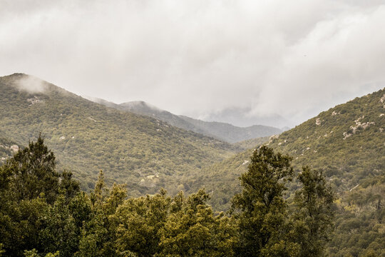 View of rolling hills blanketed in verdant trees, a misty veil shrouding the peaks in a serene embrace, nature's untouched beauty unfolds, Parco dei Sette Fratelli, Sardinia, Italy.