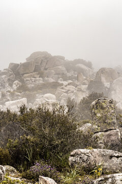 View of a misty mountain landscape where rocky outcrops and sparse vegetation intermingle under a heavy fog, Parco dei Sette Fratelli, Sardinia, Italy.