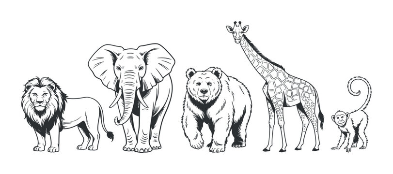 a charming black and white illustration depicts a diverse group of animals including a lion elephant bear giraffe and monkey standing together