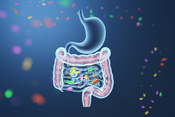 Digestive system x-ray with glowing probiotic bacteria for microbiome. 3D rendering