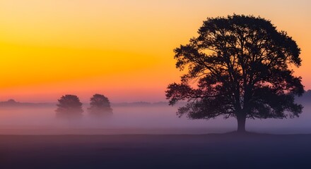 Solitary tree silhouetted against a vibrant sunrise over misty fields
