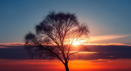 Solitary tree silhouetted against a fiery sunset sky with wispy clouds