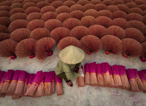 Aerial view of a woman in a conical hat amidst vibrant pink and red incense sticks, creating a striking pattern of color and texture, Hanoi, Hanoi, Vietnam.