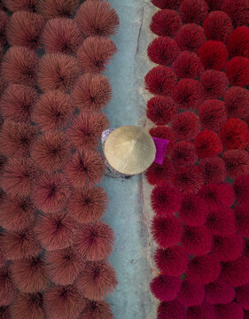 Aerial view of a person wearing a conical hat walking between rows of vibrant red and pink incense sticks, Hanoi, Hanoi, Vietnam.