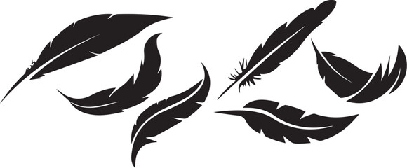 vector  of a feather feather, vector, drawing, art, symbol, design, icon, flying, leaf © Laiba