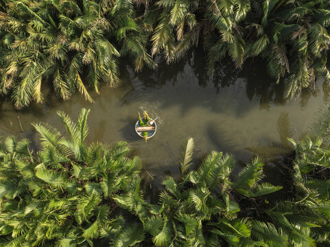 Aerial view of a coracle boat navigating a narrow waterway, flanked by dense, vibrant green palm trees under a warm, golden light, Hoi An, Quang Nam, Vietnam.