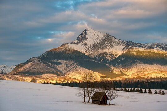 Winter landscape featuring iconic Krivan peak in the High Tatras, Slovakia. Lonely wooden cabin on a snowy field with dramatic golden light creates a peaceful alpine scene ideal for travel and nature 