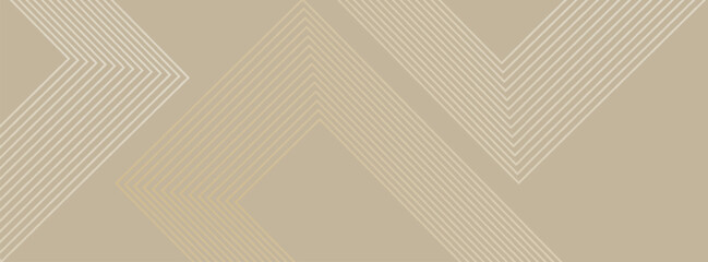 Modern line stripes curve abstract presentation background