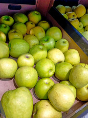 A box of green apples is on display
