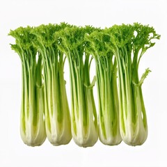 Fresh celery stalks arranged in a row on a plain background showing green leaves and pale stems ready for use in cooking and salads