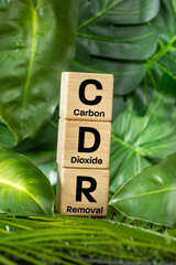 CDR Symbol on wooden blocks. Capturing and storing carbon dioxide. Environmental concept. Co2 storage and removal technologies. Close up. Against a backdrop of real green vegetation.  Vertical photo