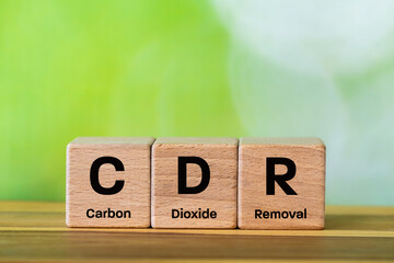 CDR Symbol on wooden blocks. Capturing and storing carbon dioxide. Environmental concept. Co2 storage and removal technologies. Close up. Copy space. Blurred background of natural greenery