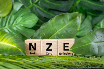 NZE symbol. The concept of zero emissions, which shows sustainable development. Conceptual words. Net zero emissions. Climate action. Close up. Against the backdrop of real green vegetation.