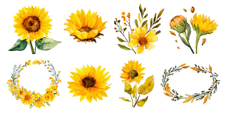 Watercolor sunflowers and floral wreaths Vector