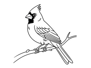 Black and White Cardinal Bird Perched on Branch Illustration