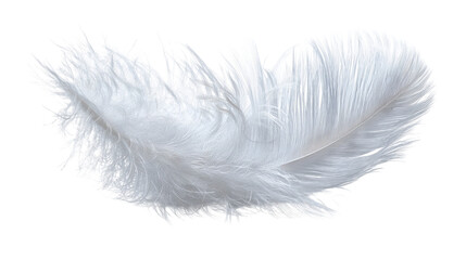 Soft White Bird Feather Isolated for Design and Concepts