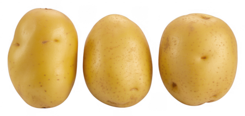 Three yellow potatoes in a row vegetable food isolated on a transparent background