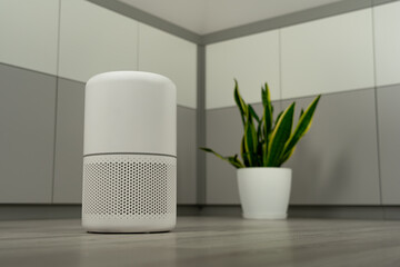 air purifier and a potted Sansevieria plant. Both ensure clean air in the office and home. Stop smog, clean air, and the environment.