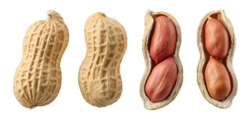 Peanuts and shelled peanuts unshelled snack isolated on a transparent background