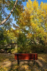 Bench In A Fall Park