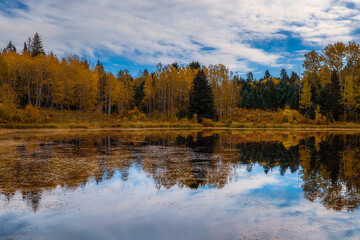 Reflections Of Autumn Trees And Clouds On An Alberta Lake