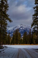 Snow Covered Road Through Trees Leading To The Mountains