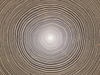 Close-up view of a natural wood grain pattern with concentric rings radiating from a bright center.