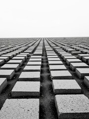 Fototapeta premium Monochrome low-angle view of countless square concrete blocks arranged in precise rows, receding into the distance under a bright sky, creating a strong sense of pattern and perspective.