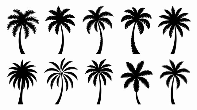 Black Silhouettes of Various Palm Trees on White Background
