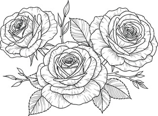 Beautiful Detailed Rose Flower Illustration for Coloring and Art Projects