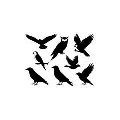 8 bird icon bundle  eagle, owl, parrot, dove, crow, solid black silhouettes, vector, white background&rdquo;