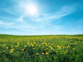 Obraz premium Spring