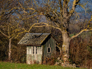 Obraz premium Altes verwittertes Gartenhaus