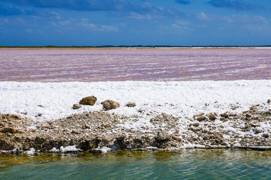 Pink lake of the Salt Flats in Southern Bonaire in the Dutch Caribbean - Solar Salt Mining on the coast of the Caribbean Sea