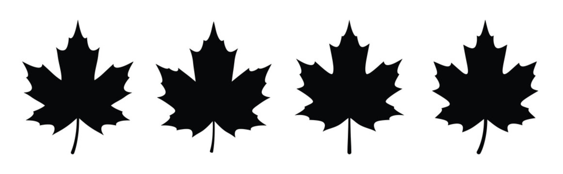 autumn maple leaf silhouette icon vector set
