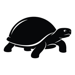 Silhouette of a turtle