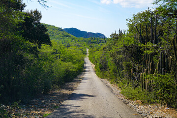 Kaminda Goto road surrounding the Goto Meer salt lake in Northern Bonaire in the Dutch Caribbean