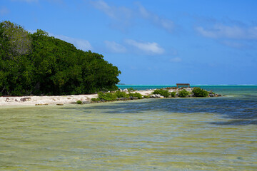 Barends Elshout in Lac Bay, a tropical lagoon with shallow turquoise waters on the southeast coast...