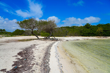 Sorobon Beach in Lac Bay, a tropical lagoon with shallow turquoise waters on the southeast coast of...