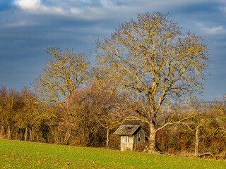 Altes verwittertes Gartenhaus