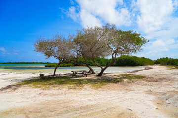 Sorobon Beach in Lac Bay, a tropical lagoon with shallow turquoise waters on the southeast coast of...
