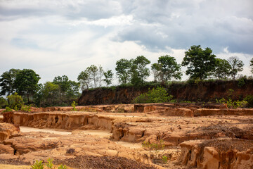 Wide Landscape of Eroded Sandstone Gullies with Acacia Forest Background