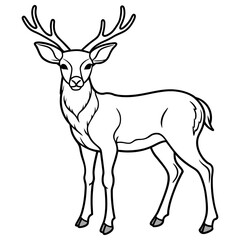 deer vector art