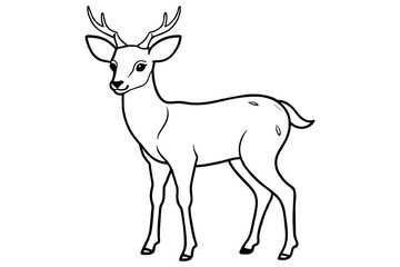 line art of a-deer vector art by pen tool.ai