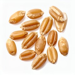 Obraz premium Macro shot of scattered wheat grains on a seamless white backdrop demonstrating natural texture